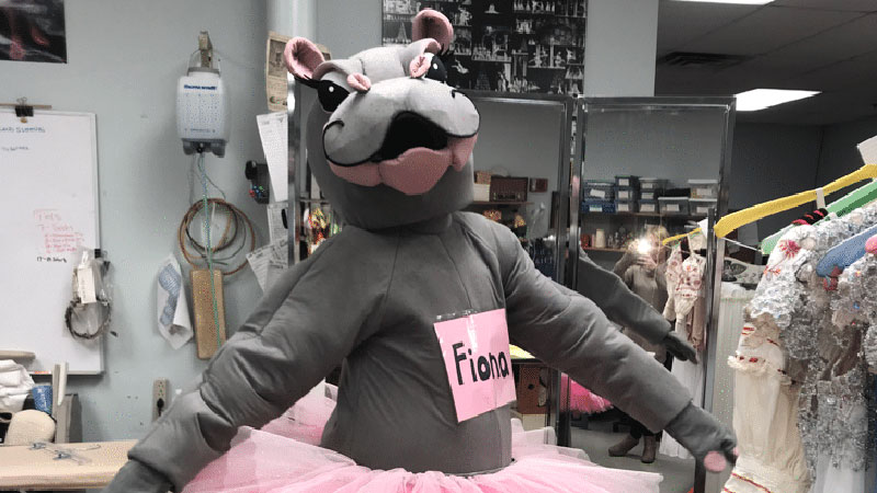 Cincinnati Zoo’s Famous Hippo Fiona Joins the Cast of The Nutcracker
