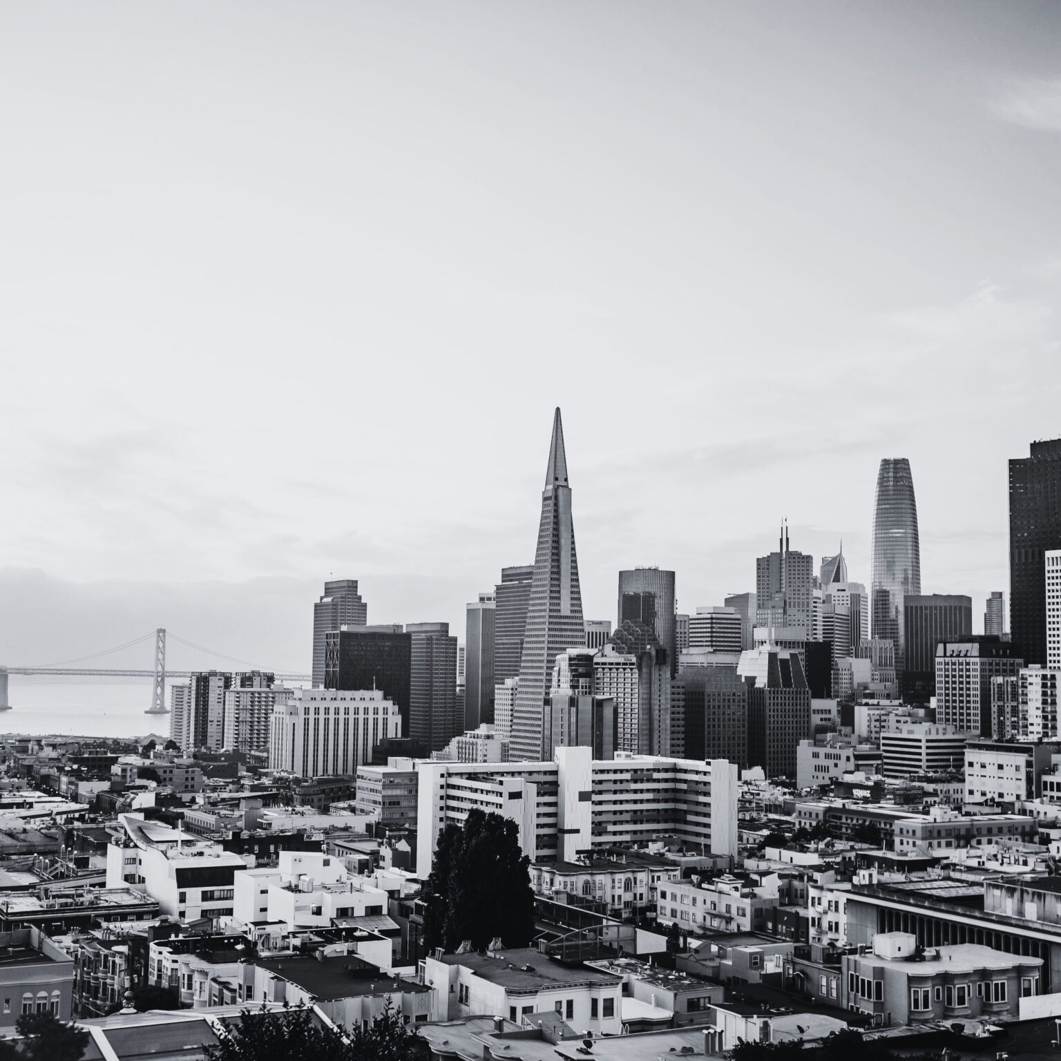 company-auditions-cincinnati-ballet